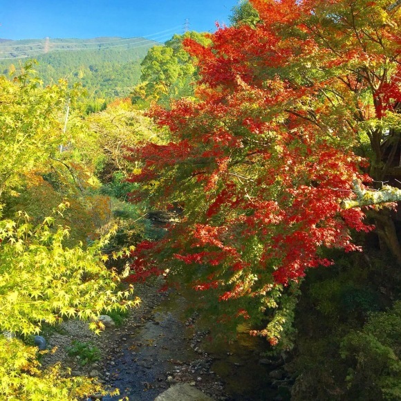 f0372445_19174417.jpeg