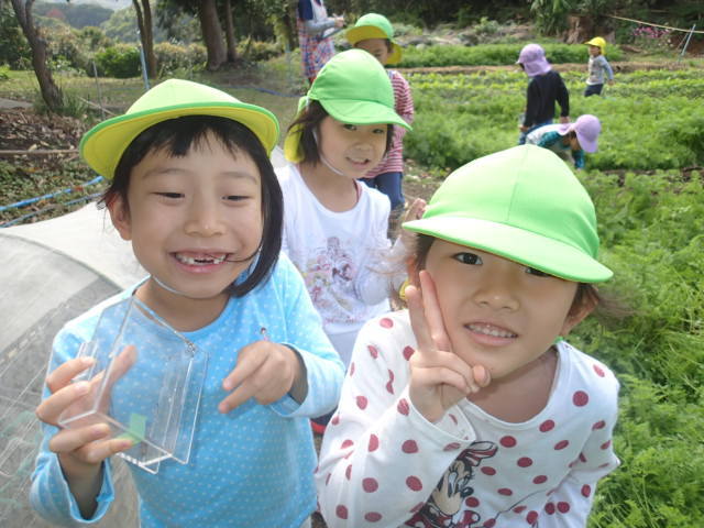 d0105749_20015994.jpg