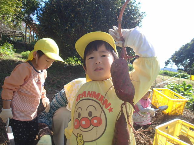 d0105749_22402004.jpg
