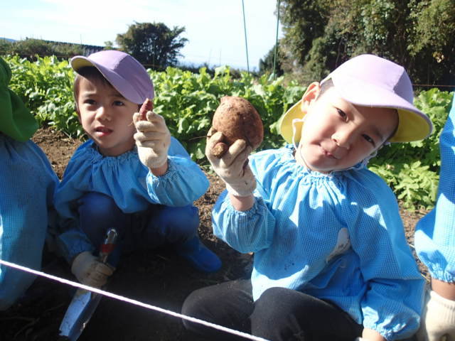 d0105749_22410628.jpg