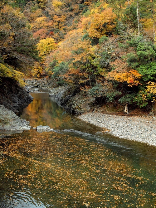 雲海と人海・・・・まだまだ、大津の絶景紅葉・奥山渓谷！_d0005250_19512668.jpg