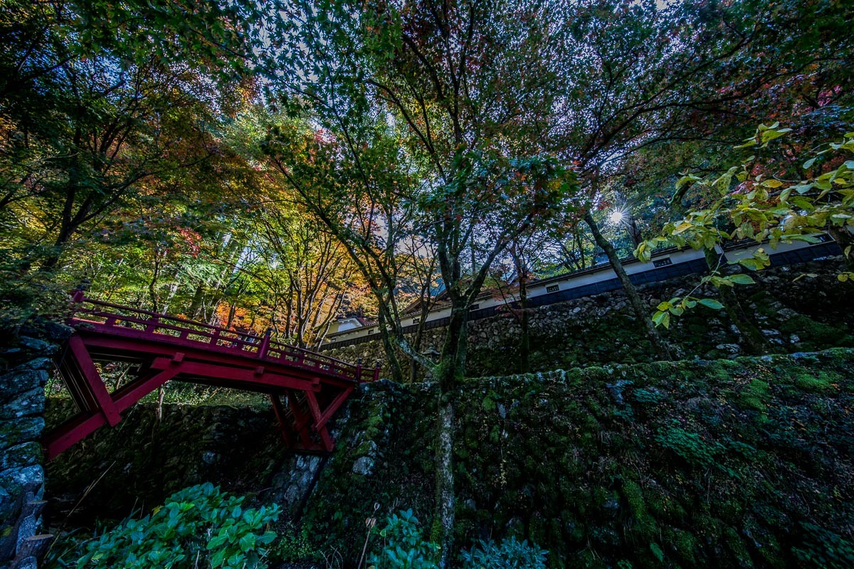 両界山横蔵寺の紅葉_f0371554_17261632.jpg