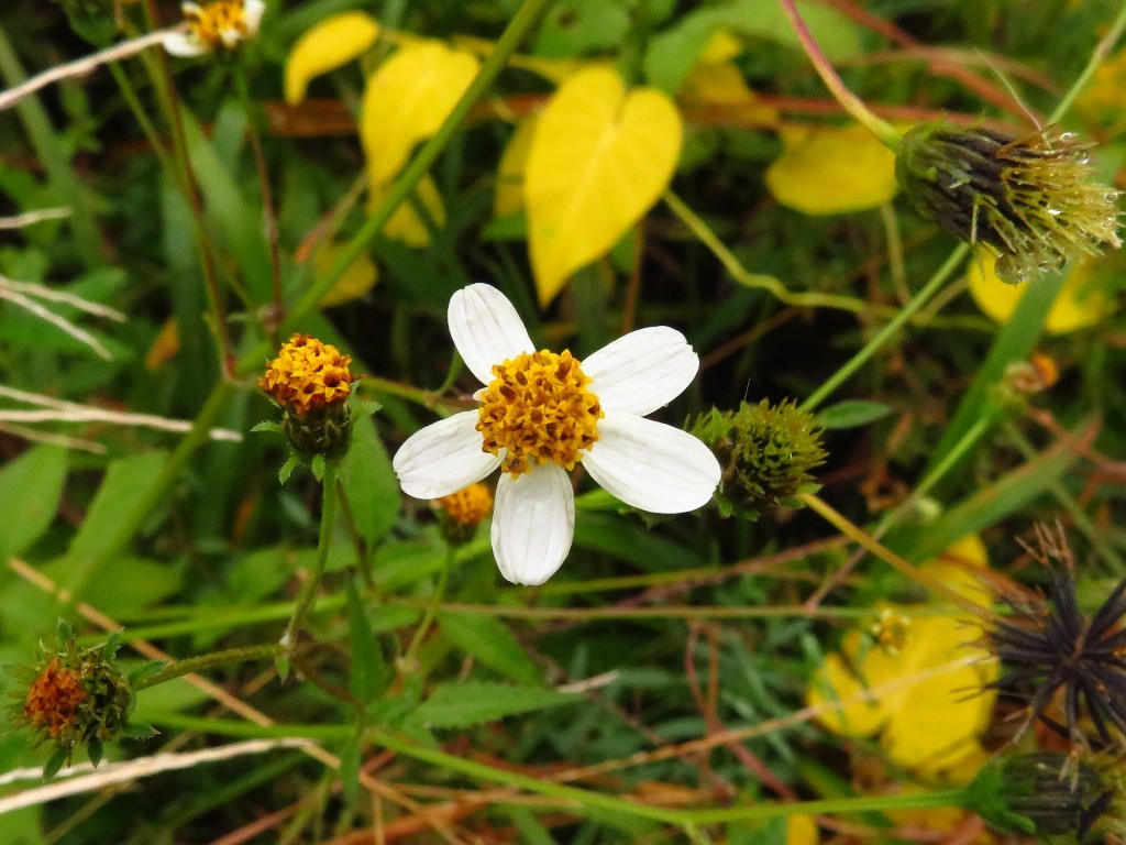 a0018655_09570971.jpg