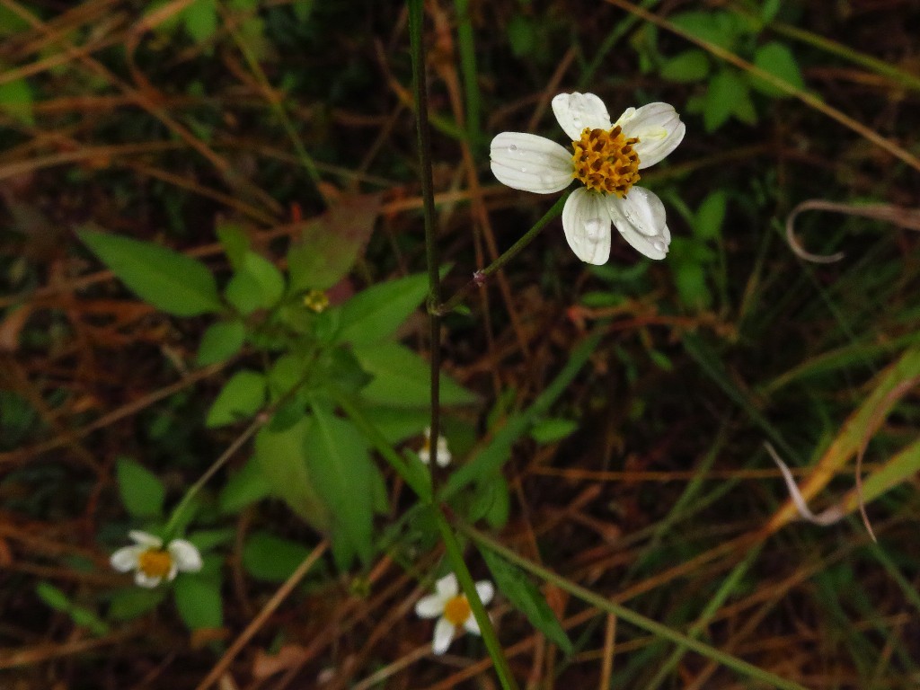 a0018655_09571095.jpg