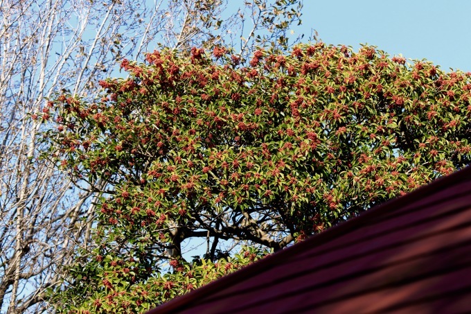 a0248459_12501717.jpg