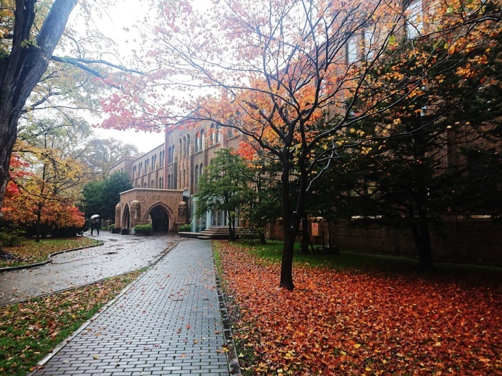 11月 北海道大学_d0039059_20043217.jpg