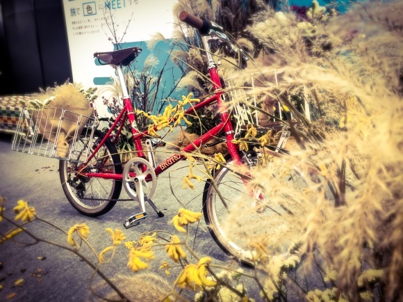 11月10日　渋谷　原宿　の自転車屋　FLAME bike前です_e0188759_19123625.jpg