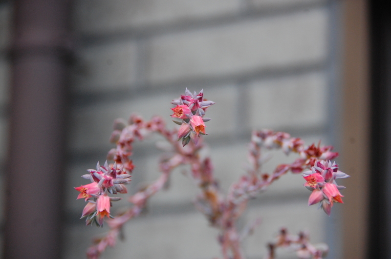 c0108460_17121471.jpg
