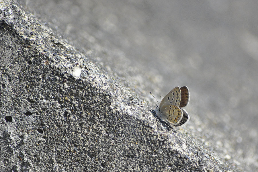 d0387460_22185496.jpg