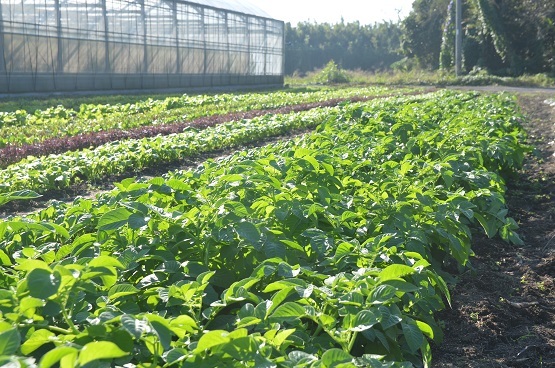 f0186462_23090840.jpg