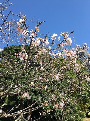 b0145863_22171851.jpg