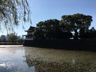 b0145863_22174382.jpg