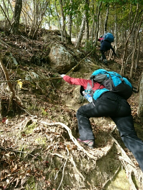 c0260463_14360620.jpg