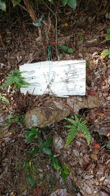 c0260463_14450115.jpg