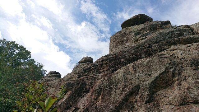 c0260463_14451795.jpg