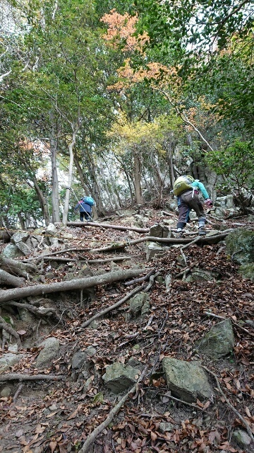 c0260463_14493755.jpg