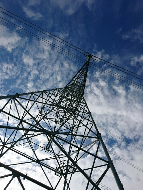 c0260463_14541348.jpg
