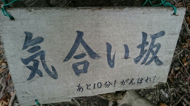 c0260463_15092180.jpg