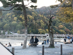 今年の落ち葉、永久保存ね！_a0219573_19082393.jpg