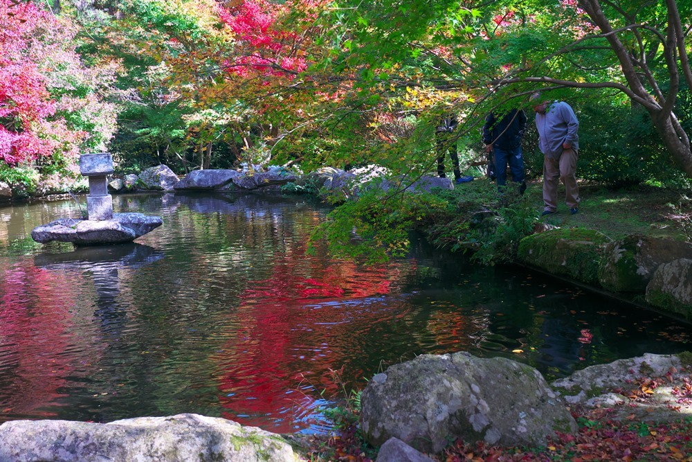 e0199173_15562551.jpg