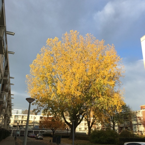 f0275876_04523742.jpeg