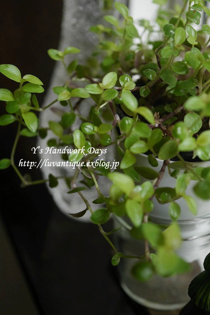 f0330978_11380971.gif