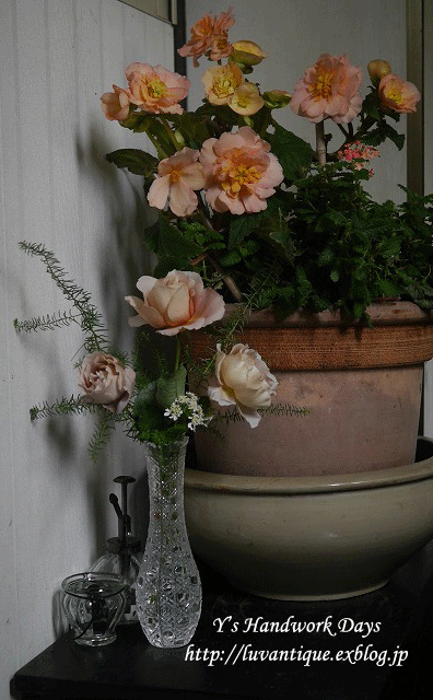 f0330978_11382937.gif