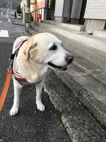f0315081_17405906.jpeg