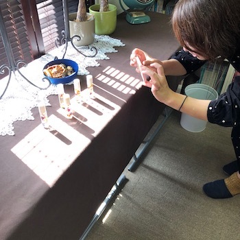 a0191183_20521517.jpeg