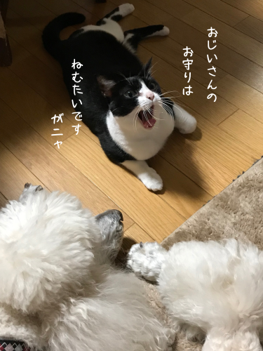 a0216583_19554628.png
