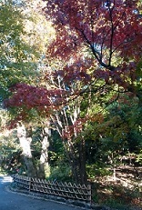 e0060483_23181149.jpg