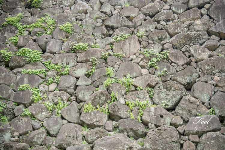d0336785_10020359.jpg