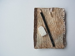 鉛筆の削りカスはクミンの匂い Gallery Tanne