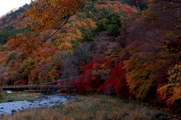 塩原　紅葉_b0203588_12125241.jpg