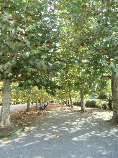 e0114588_21225323.jpg