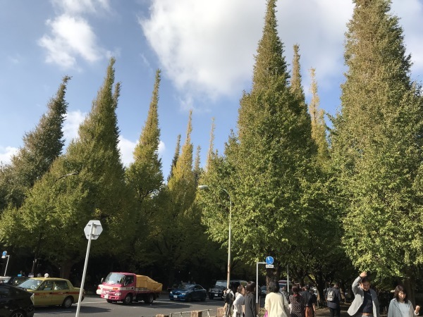 e0397389_14363578.jpeg