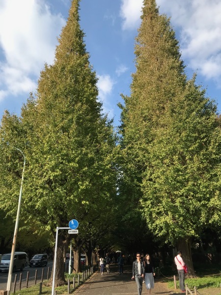e0397389_14371761.jpeg