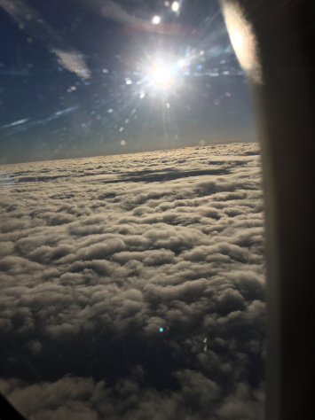 11月初旬。大分県臼杵市に滞在。_a0112393_15523786.jpg