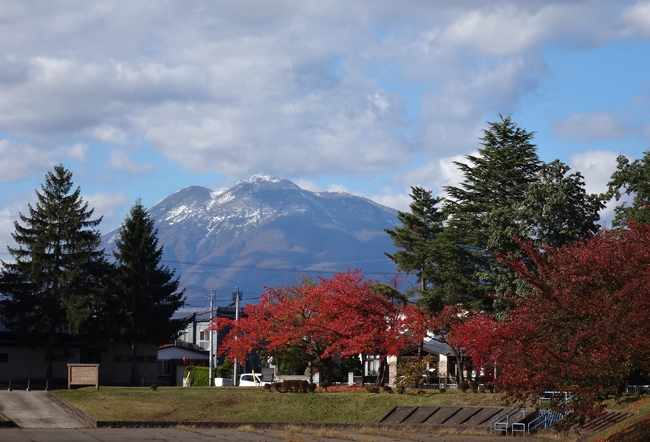 五能線、長四郎公園の小さな秋と、木造駅駅舎の風景など♪_a0136293_17280942.jpg