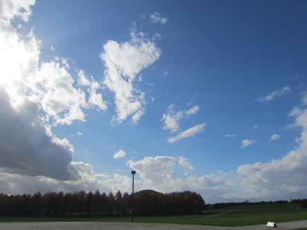 d0198793_19162765.jpg