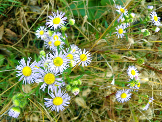 a0199297_17295795.jpg
