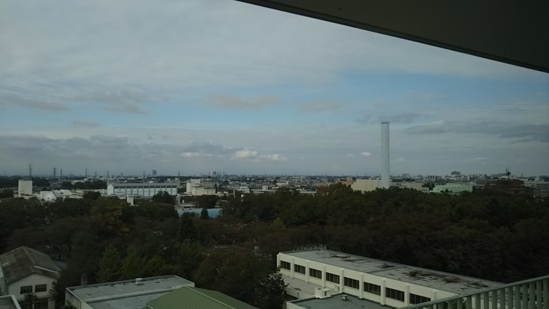 d0051601_10080180.jpg