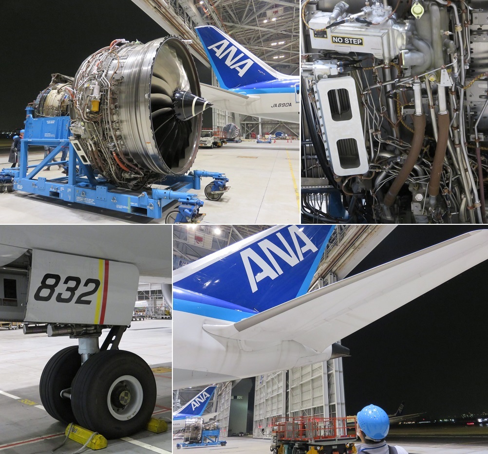 Ana Snsファンプログラム18 Ana航空教室 機体工場見学 いぬのおなら Ana Snsファンプログラム18 Ana航空教室 機体工場見学 いぬのおなら