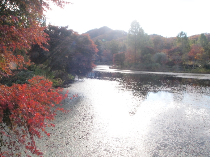 秋のガーデンに出かけよう･･･････長野 軽井沢レイクガーデン_b0331802_11432284.jpg
