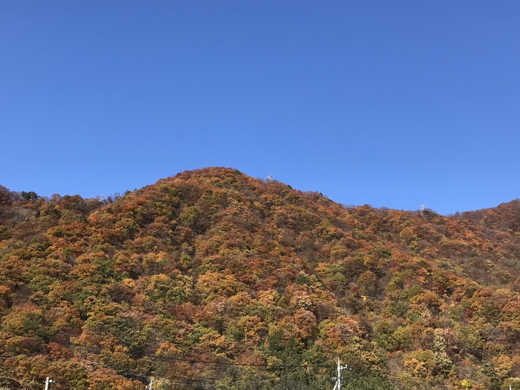 c0212604_52403.jpg