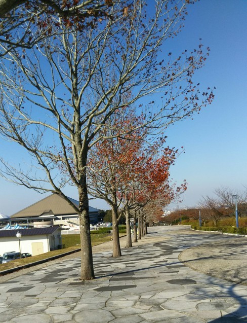 e0377404_18442831.jpg