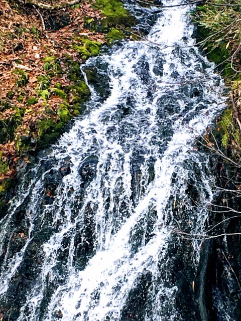 a0345007_131981.jpg