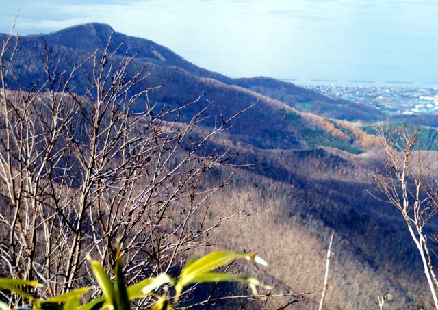 a0345007_1320064.jpg