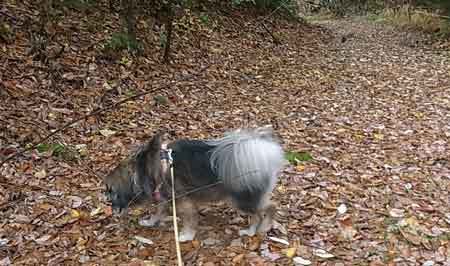 e0001110_16491012.jpg