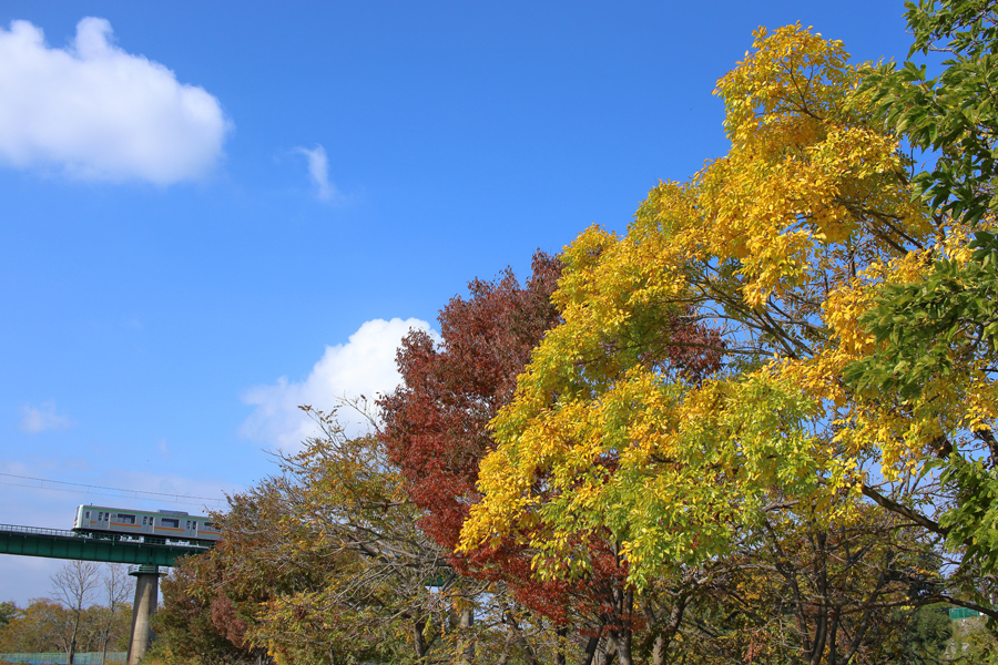 b0353411_03574739.jpg